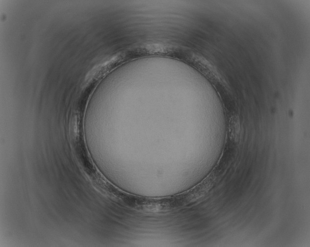 X0000087410740200705181357