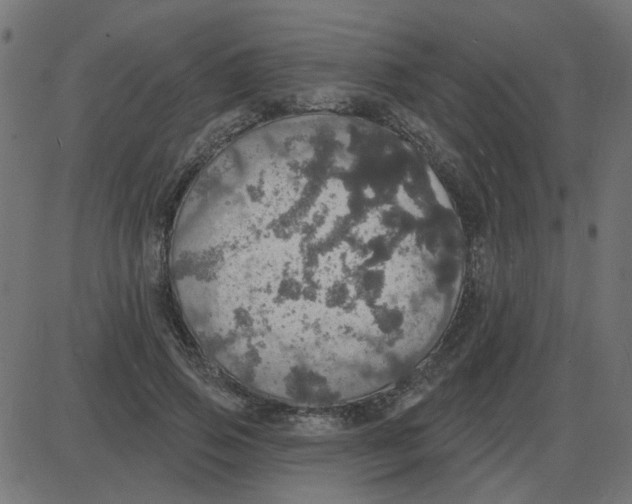 X0000087410741200705181357