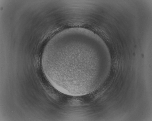 X0000087410743200705181357