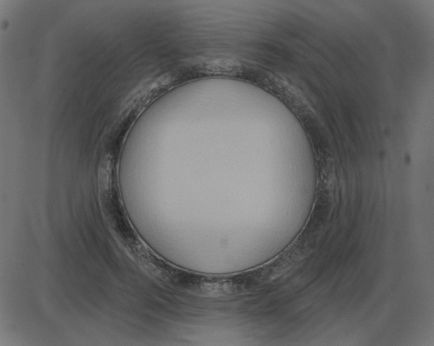 X0000087410744200705181357