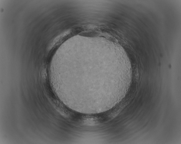 X0000087410746200705181357