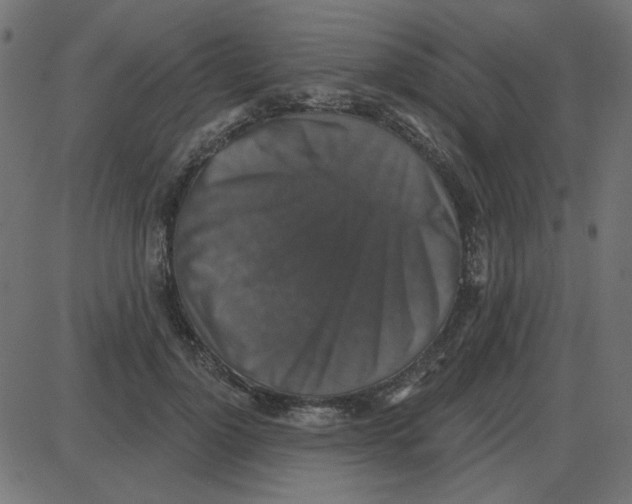 X0000087410748200705181357