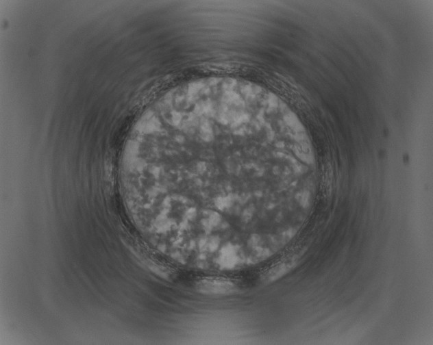 X0000087410749200705181357