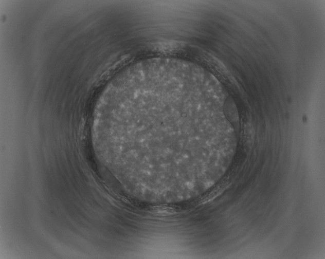 X0000087410750200705181357