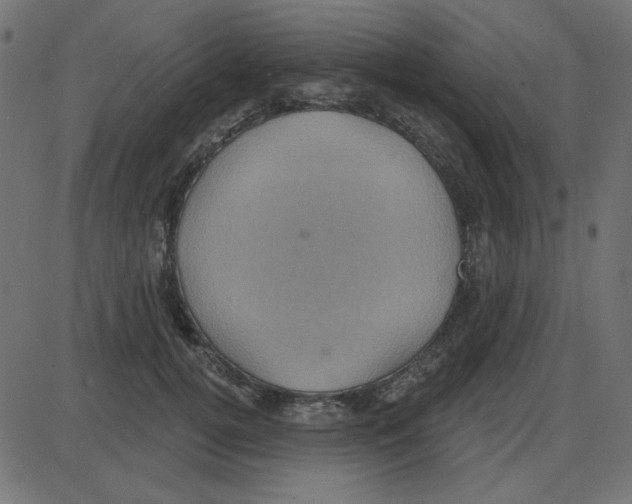 X0000087410752200705181357