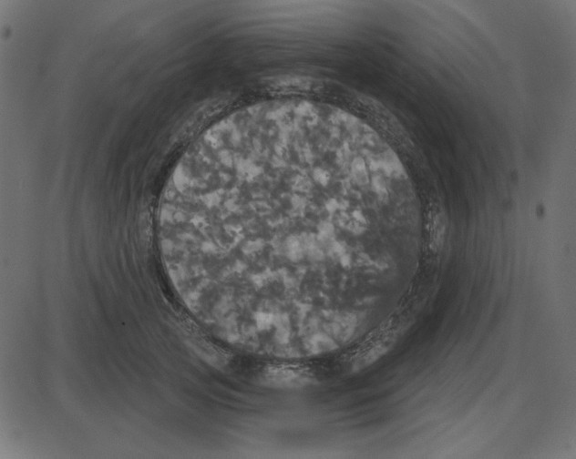 X0000087410753200705181357