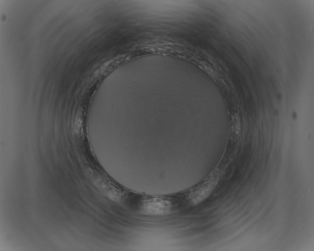 X0000087410754200705181357