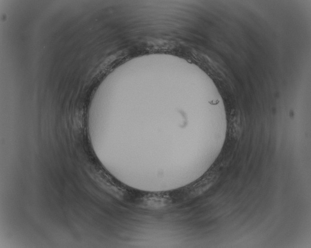 X0000087410756200705181357