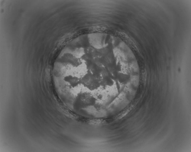 X0000087410757200705181357