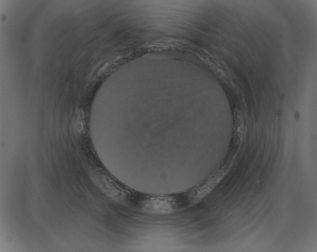 X0000087410758200705181357