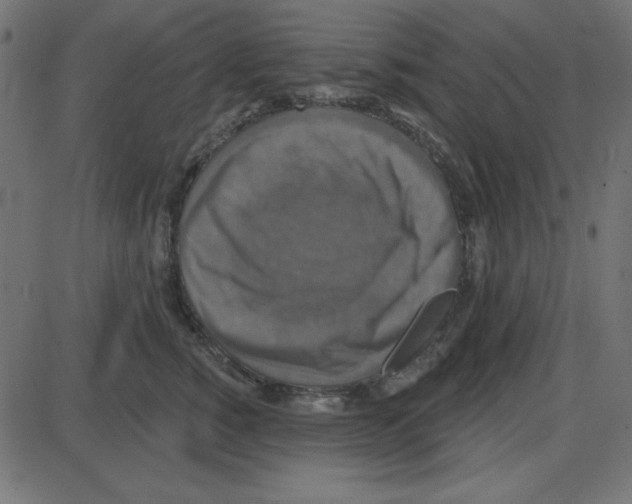 X0000087410760200705181357