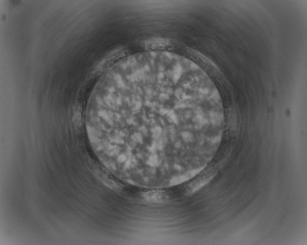 X0000087410761200705181357