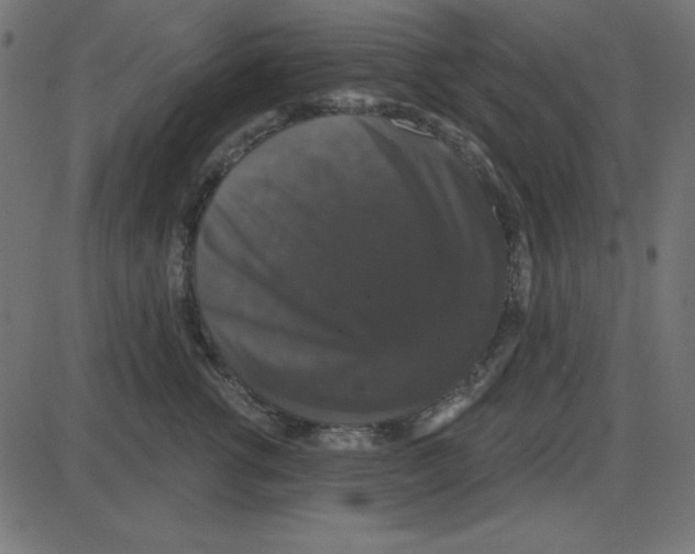 X0000087410762200705181357