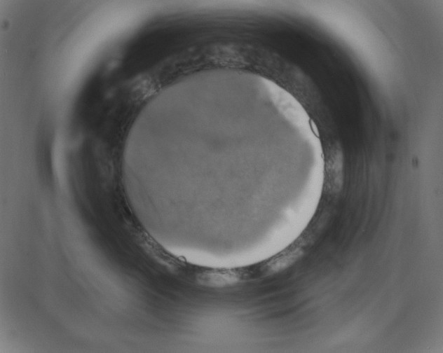 X0000087410765200705181357