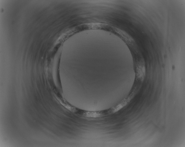 X0000087410766200705181357