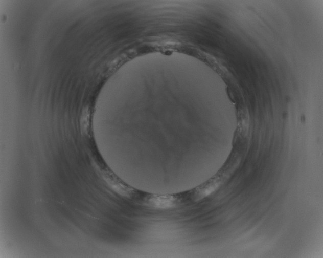 X0000087410767200705181357