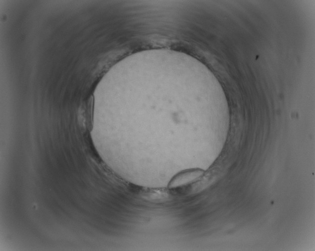 X0000087410768200705181357