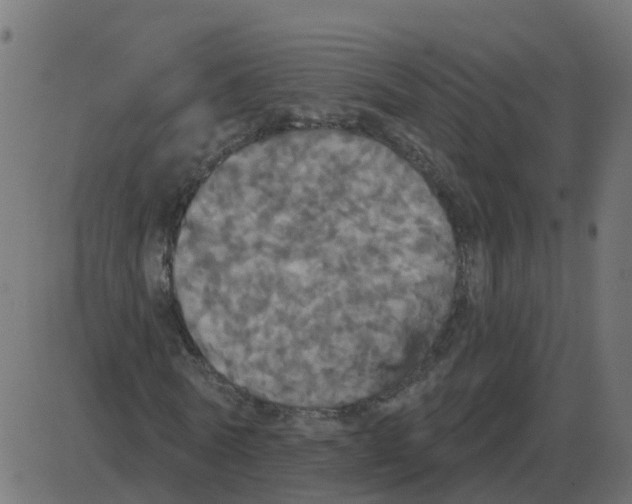 X0000087410770200705181356