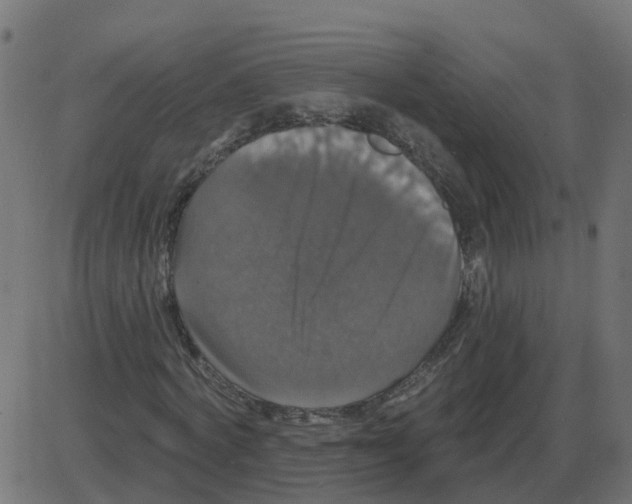 X0000087410772200705181356