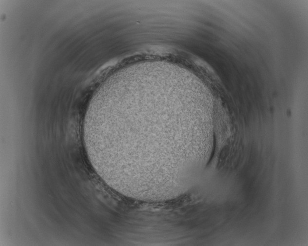 X0000087410773200705181356