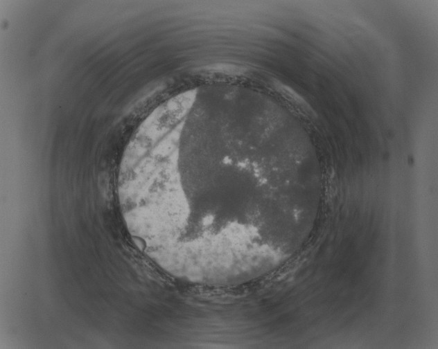 X0000087410774200705181356