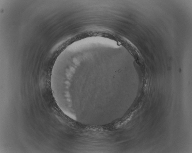 X0000087410775200705181356