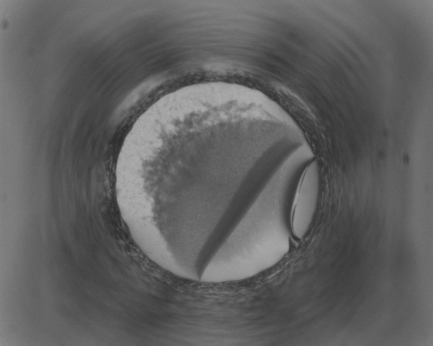 X0000087410776200705181356