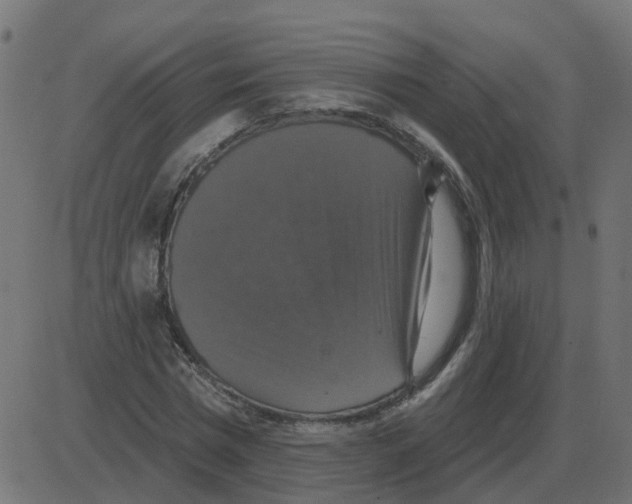 X0000087410777200705181356