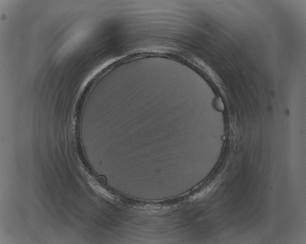 X0000087410779200705181356