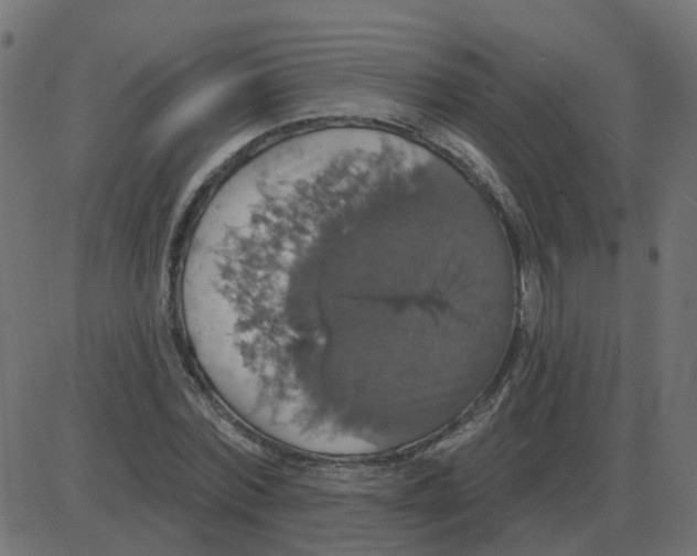 X0000087410780200705181356