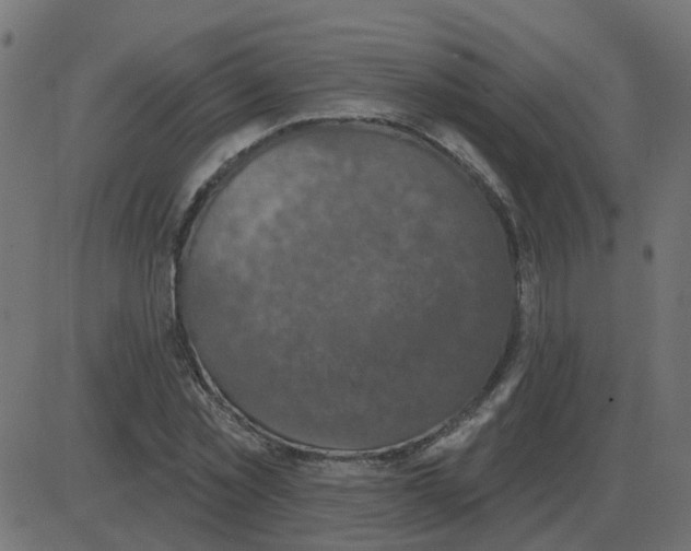 X0000087410781200705181356