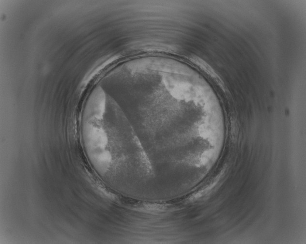 X0000087410782200705181356