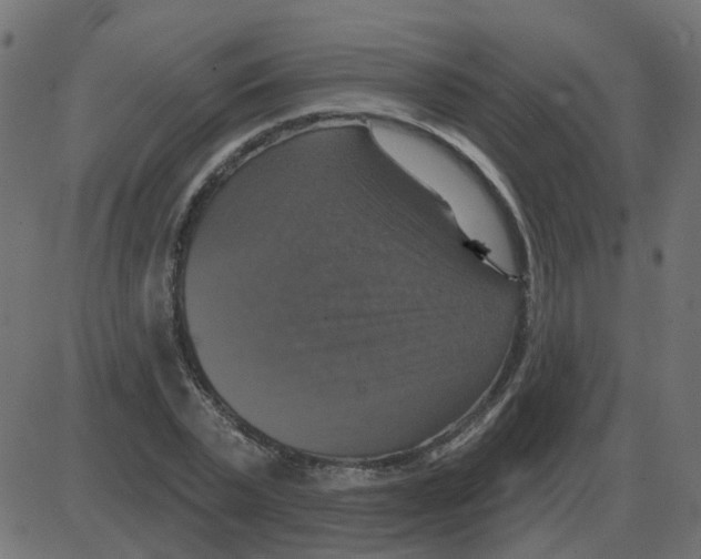 X0000087410783200705181356