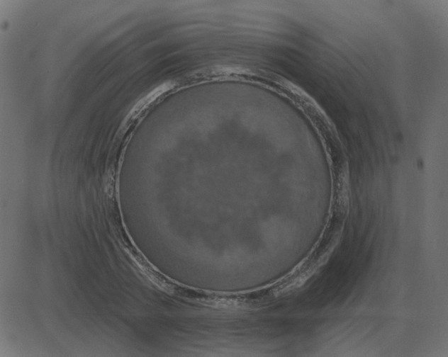 X0000087410785200705181356