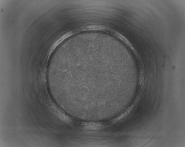 X0000087410786200705181356