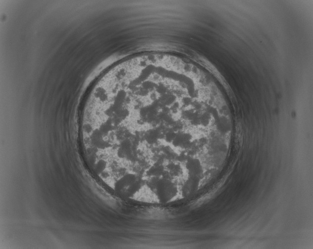 X0000087410787200705181356