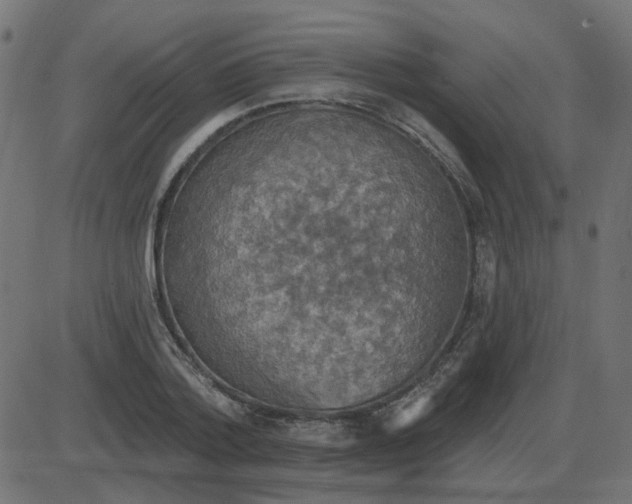 X0000087410788200705181356