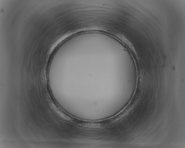 X0000087410789200705181356