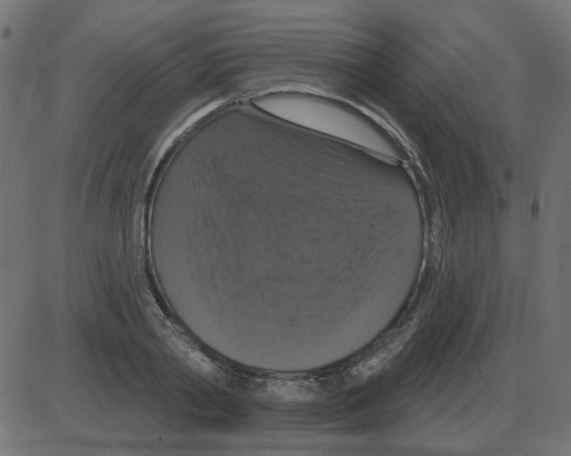 X0000087410790200705181356