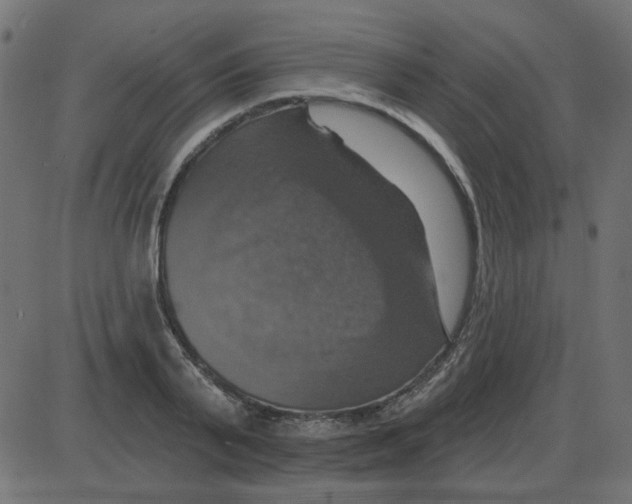 X0000087410791200705181356