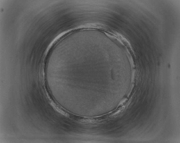 X0000087410792200705181356