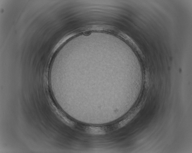 X0000087410794200705181356