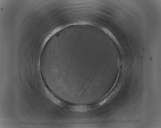 X0000087410797200705181356