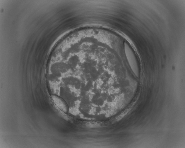 X0000087410799200705181356