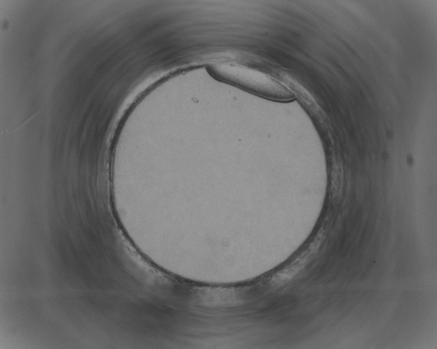 X0000087410800200705181356