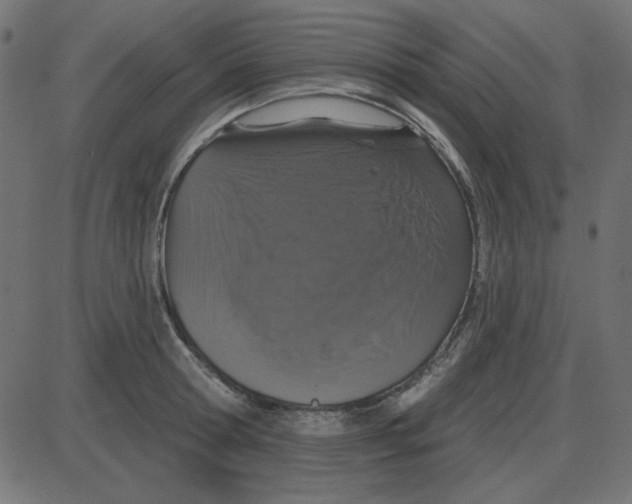 X0000087410802200705181356