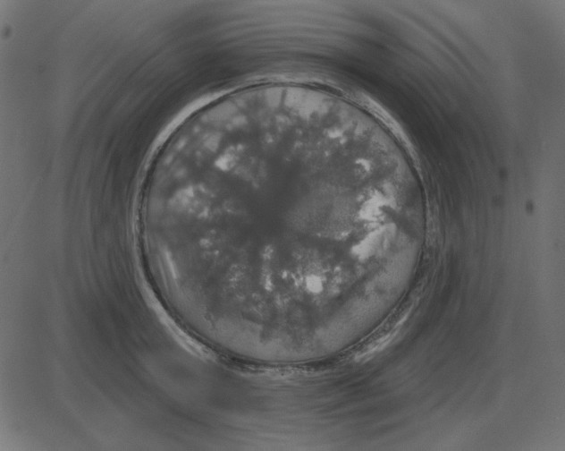 X0000087410803200705181356