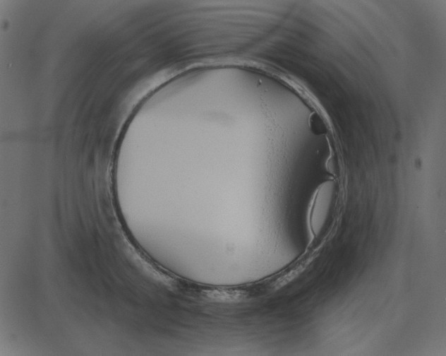 X0000087410805200705181356