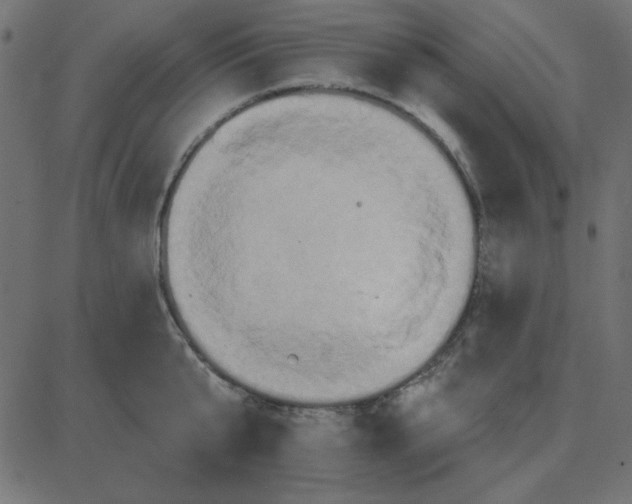 X0000087410807200705181356