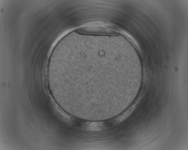 X0000087410808200705181356